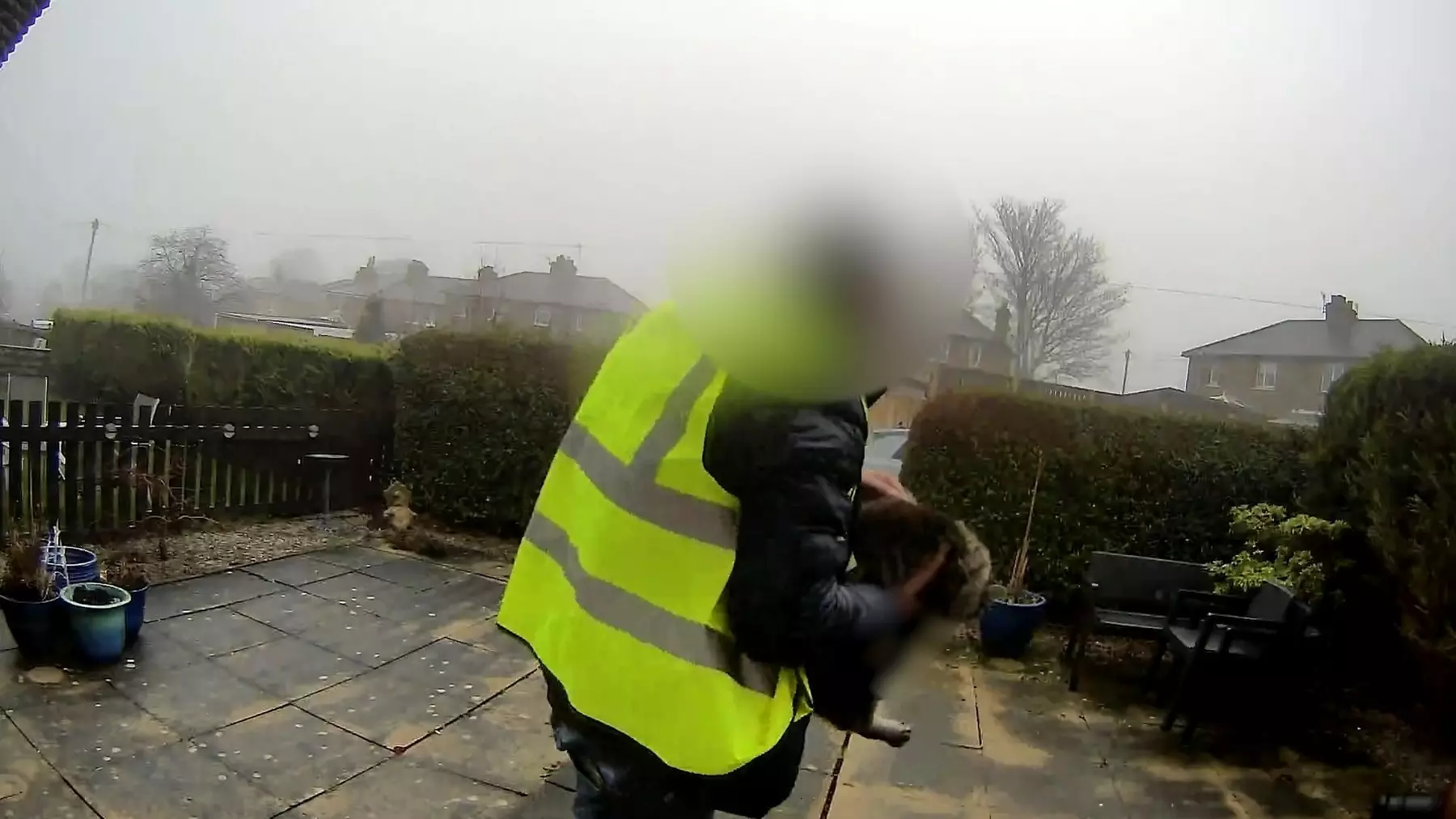 Un român, curier la Amazon, riscă 5 ani de închisoare după ce a furat o pisică din curtea unei familii, în UK | VIDEO